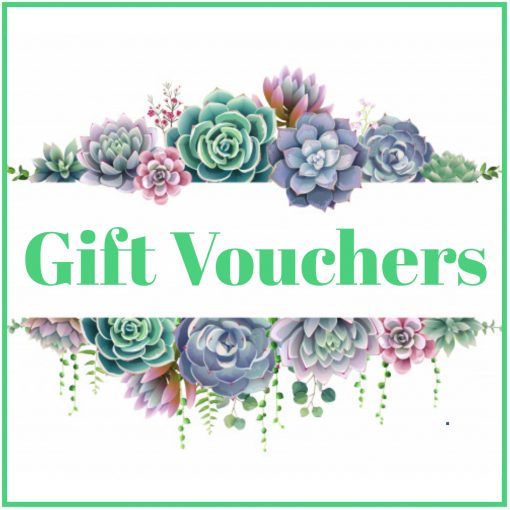 Mom and Daughter Package Voucher